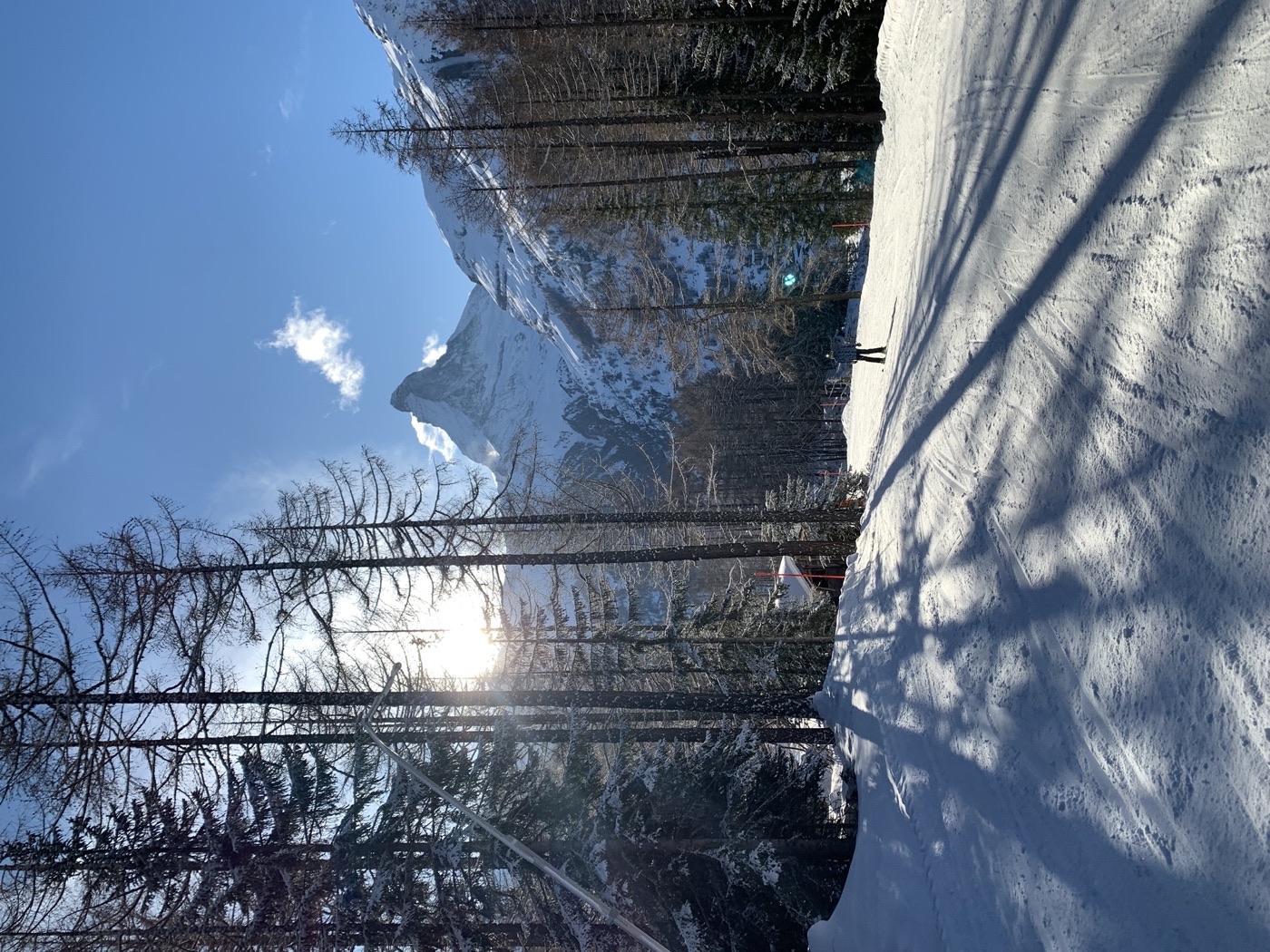The Matterhorn framed by larch trees above a ski piste